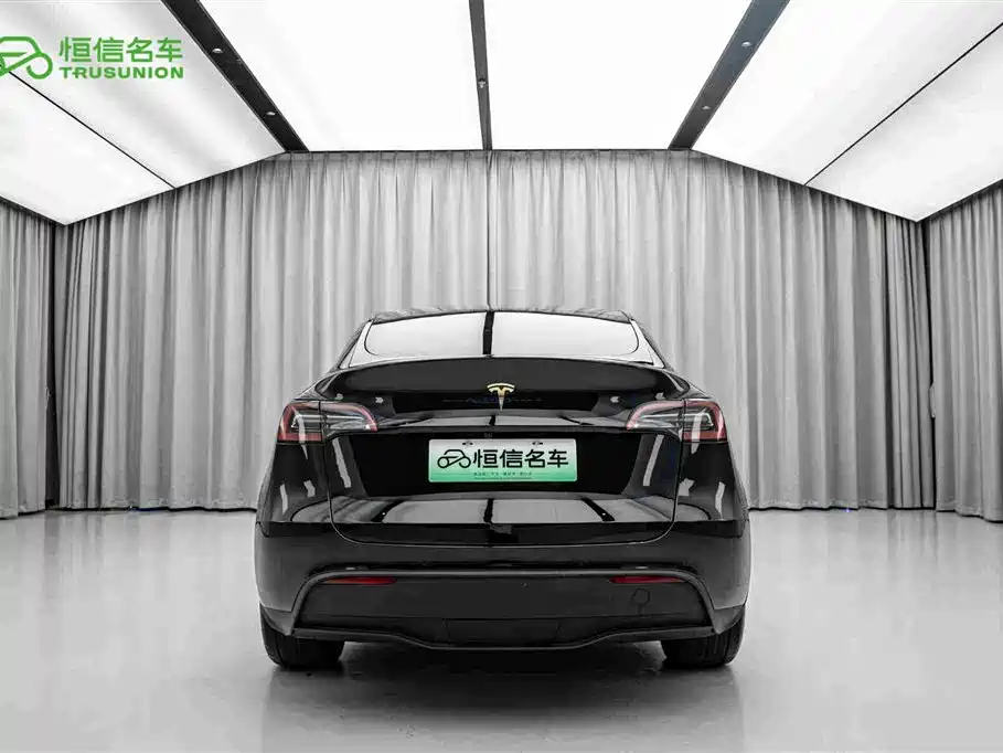 Tesla Model Y — миниатюра 6