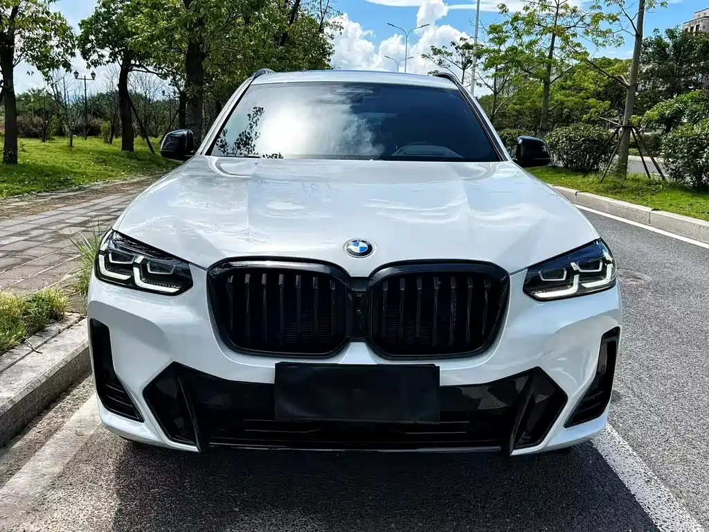 BMW X3 — миниатюра 2