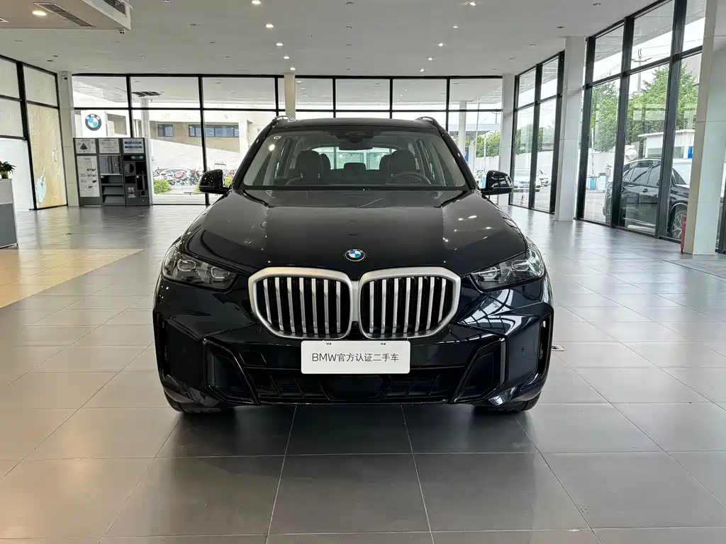 BMW X5 — миниатюра 2