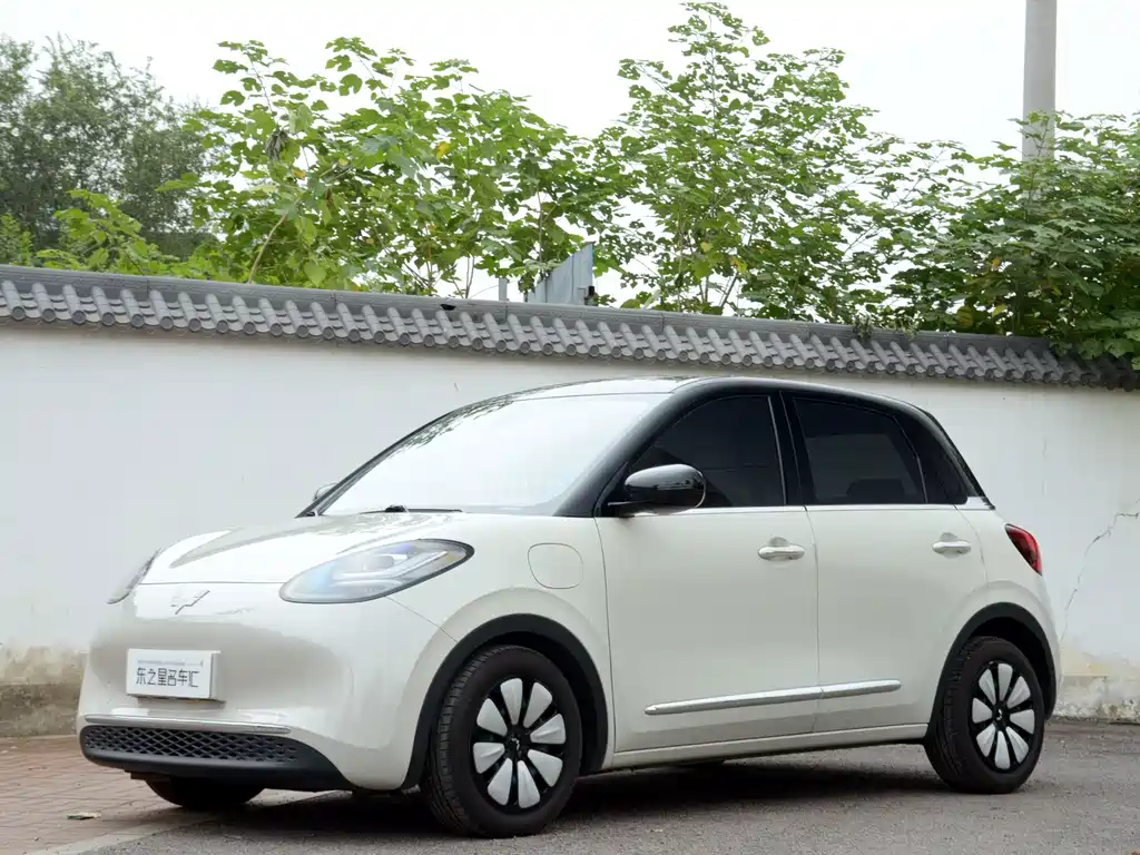 Wuling Bingo