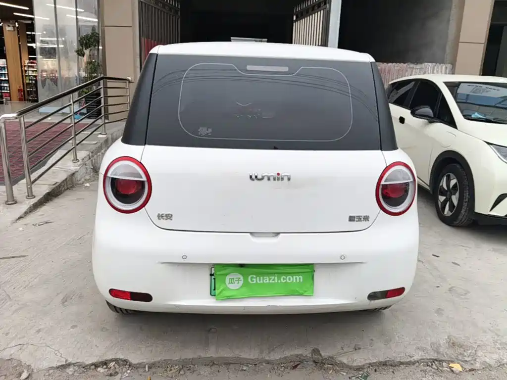 Qiyuan Lumin — миниатюра 6
