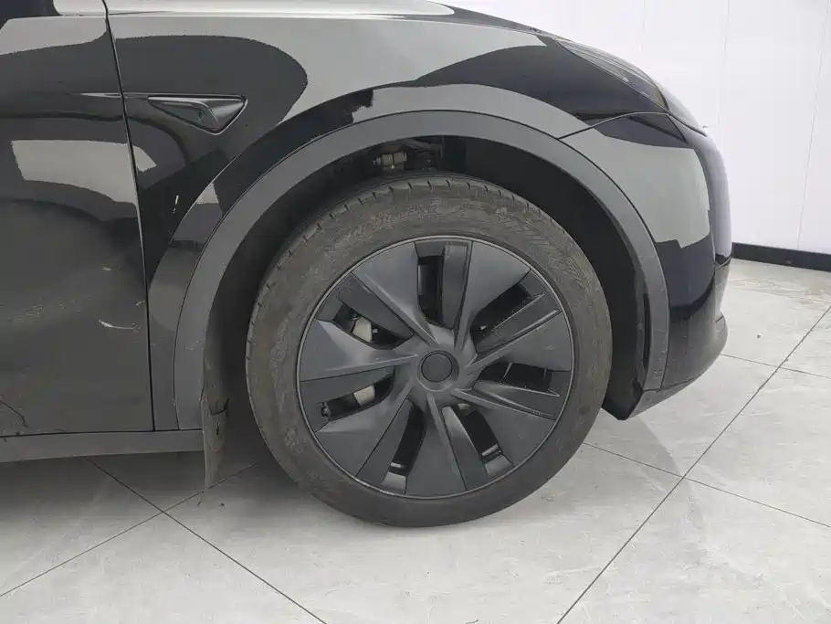 Tesla Model Y — миниатюра 6