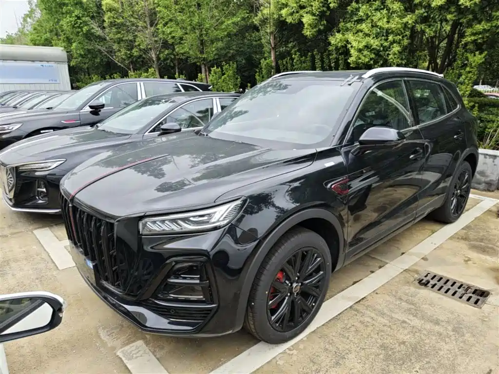 Купить Hongqi Hongqi HS5