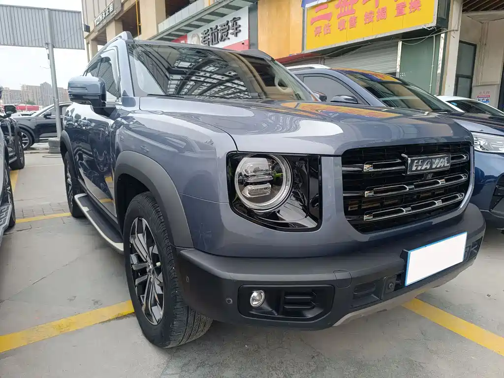 HAVAL BIG DOG