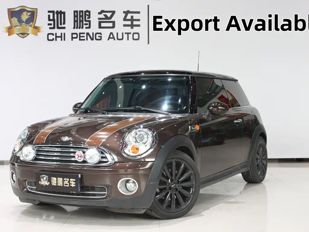 Mini Mini 2010