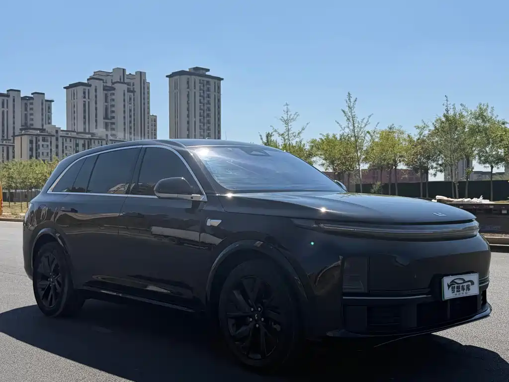 Denza Denza N9 — миниатюра 2