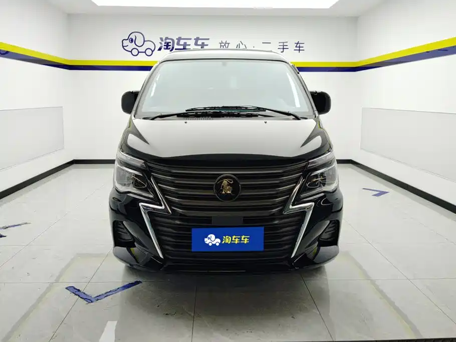 Fengxing Lingzhi — миниатюра 2