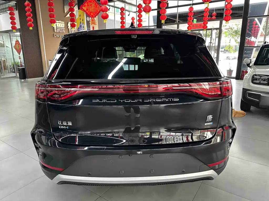 BYD Tang New Energy — миниатюра 8