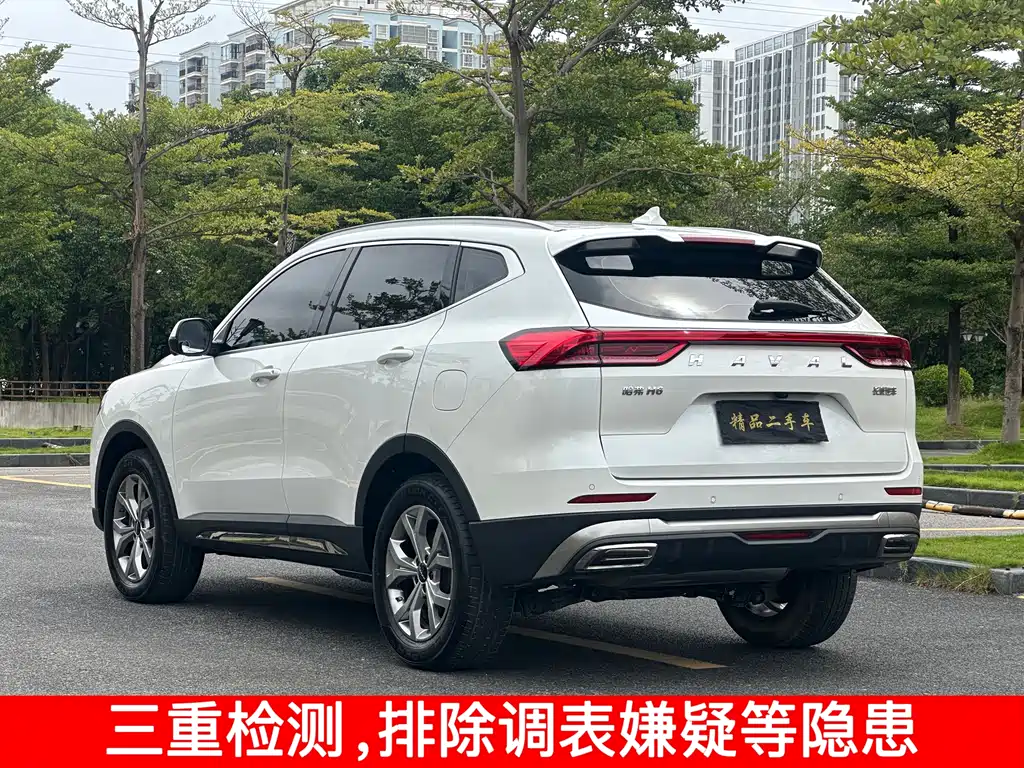 HAVAL  H6