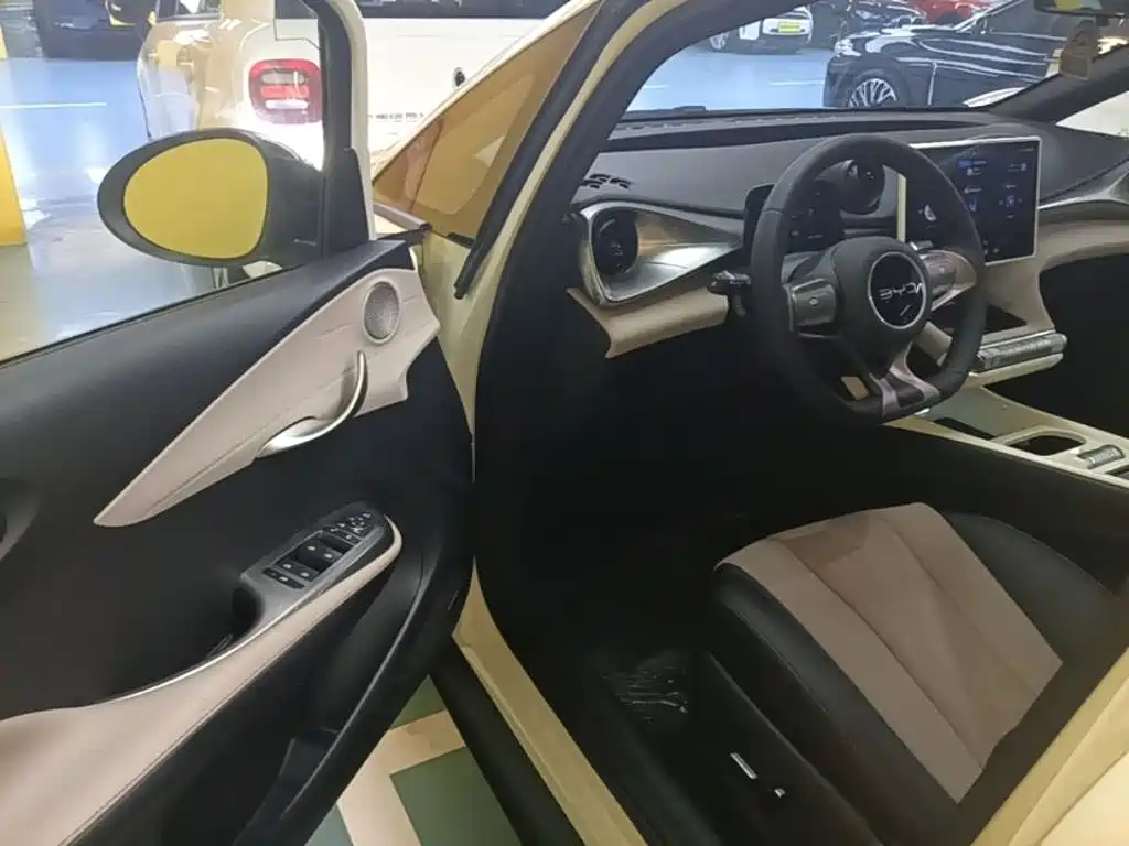 BYD Dolphin — миниатюра 16