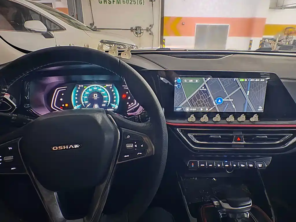 Oshan Oushang X5 — миниатюра 6