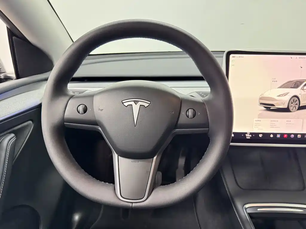 Tesla Model Y — миниатюра 10