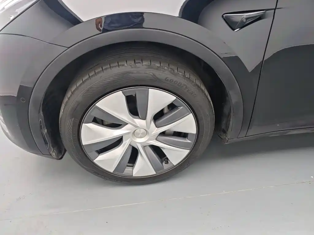 Tesla Model Y — миниатюра 23