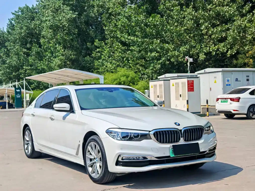 BMW 5 Series 5 2018 530Le Luxury
