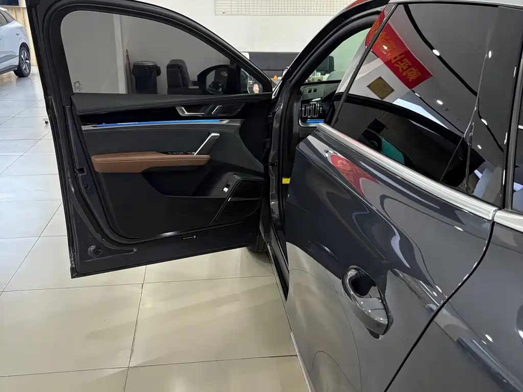 BYD Tang New Energy — миниатюра 11