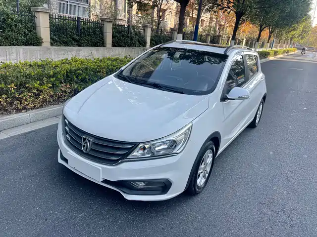 BAOJUN 310