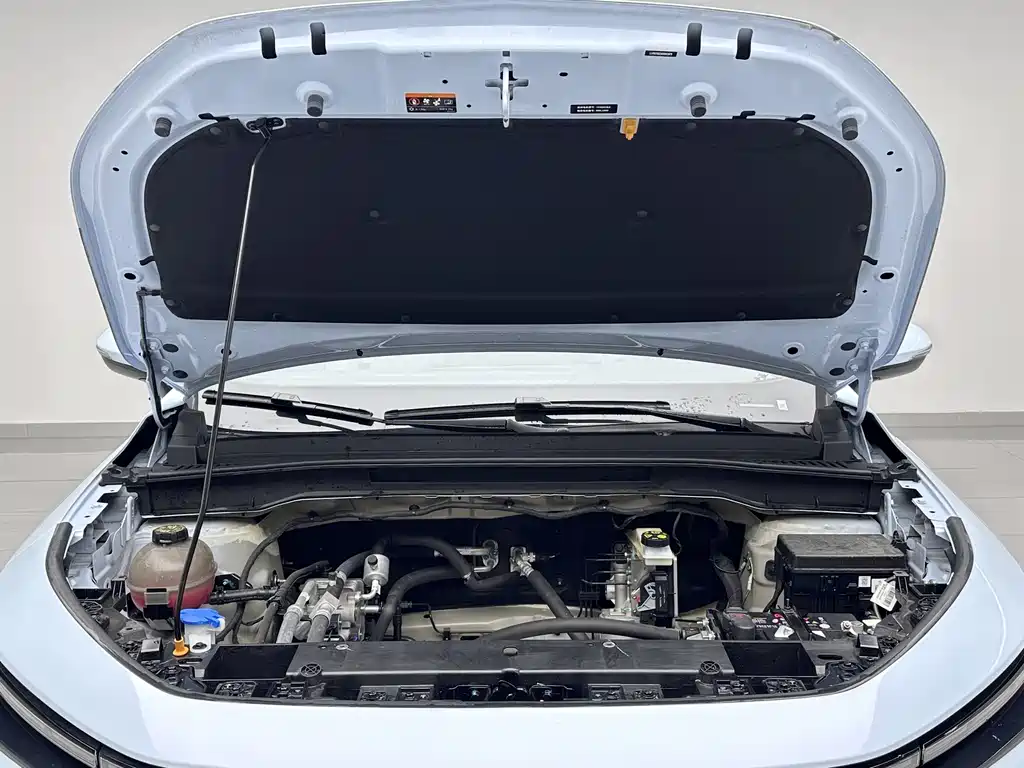 RUILAN AUTOMOBILE RUILAN 7