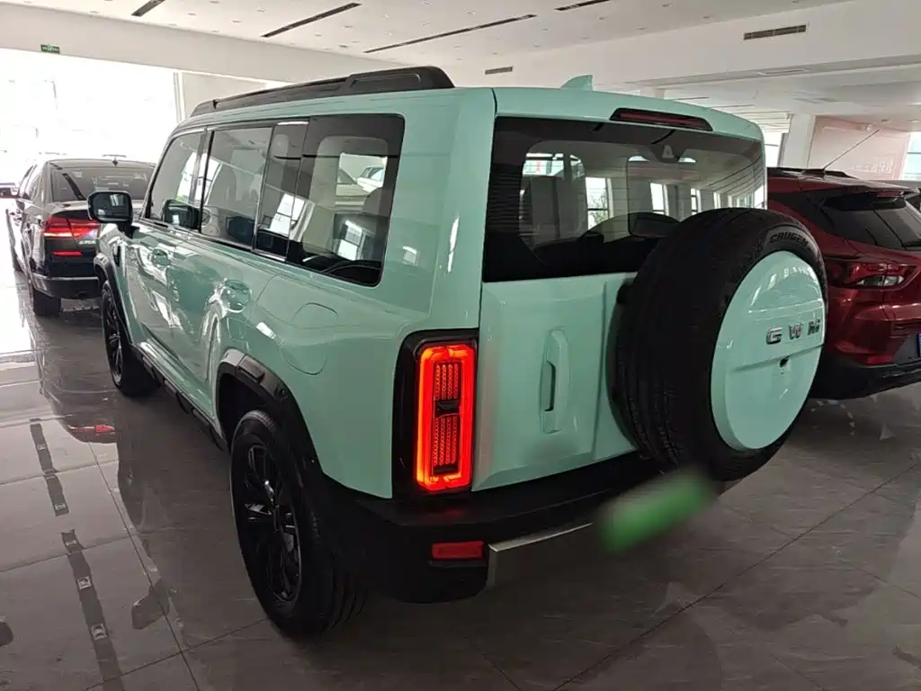 Haval Menglong New Energy — миниатюра 5