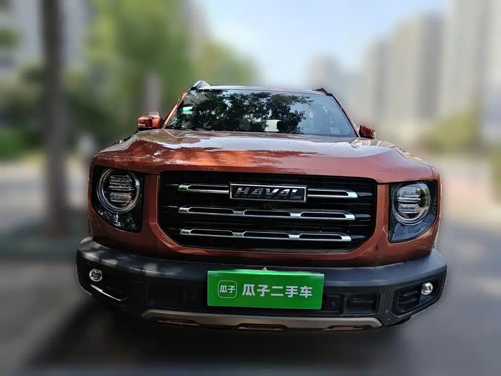 Haval 长城大狗 — миниатюра 23
