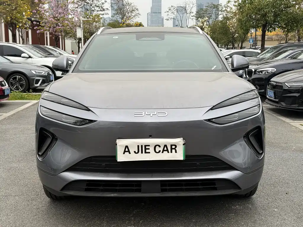 BYD SEA LION 06 NEW ENERGY