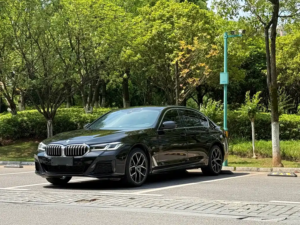 BMW 5 Series 5 2023 530Li Premium M Sport
