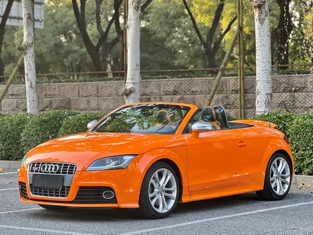 Audi TTS — миниатюра 2