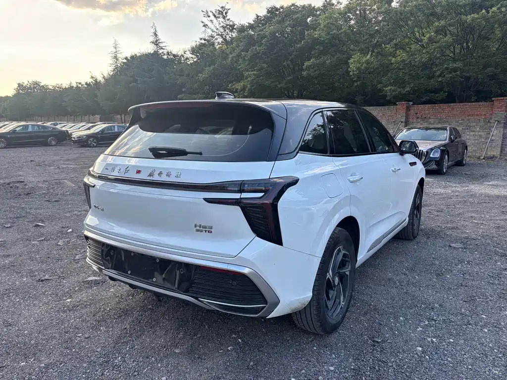 Hongqi Hongqi HS3 — миниатюра 5