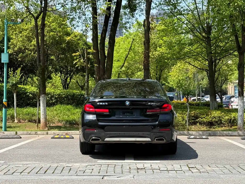 BMW 5 Series 5 2023 530Li Premium M Sport