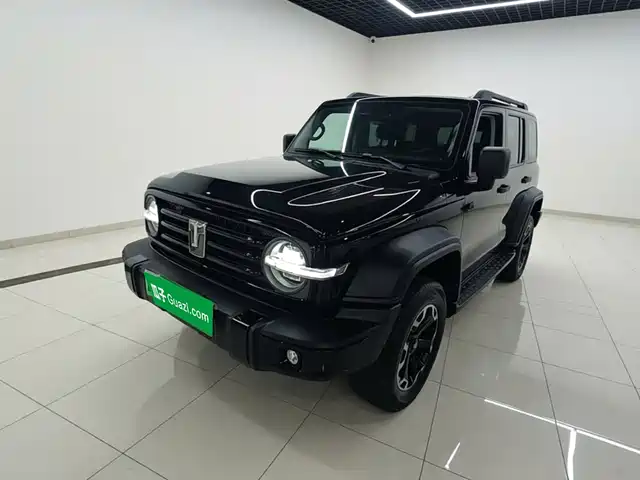2025 TANK 300