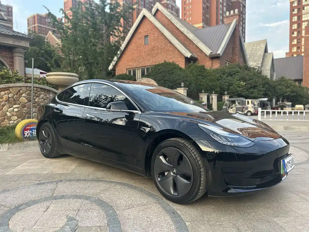 Tesla Model 3 — миниатюра 3
