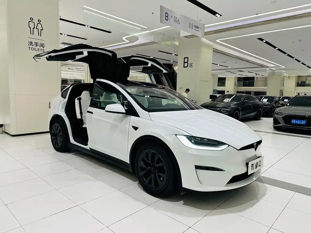 Tesla Model X — миниатюра 21