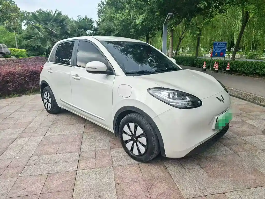 Wuling Binguo 2024 333km Enjoy