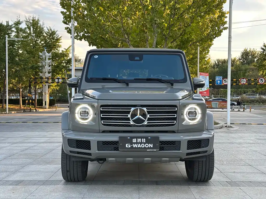 MERCEDES-BENZ  G CLASS