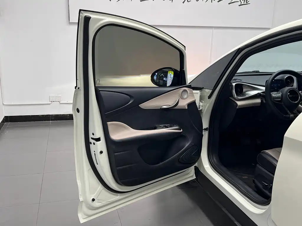 BYD Dolphin — миниатюра 25