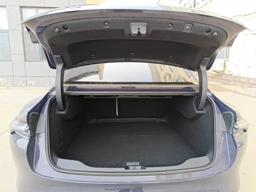 Buick Electra L7 — миниатюра 19