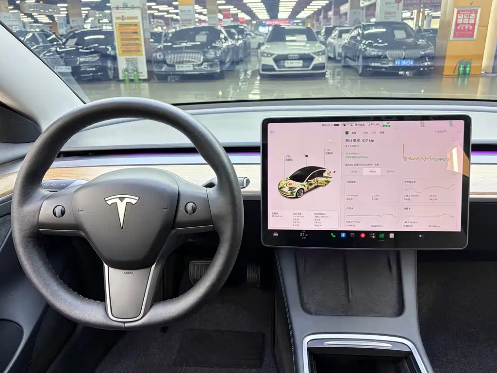 Tesla Model 3 — миниатюра 6
