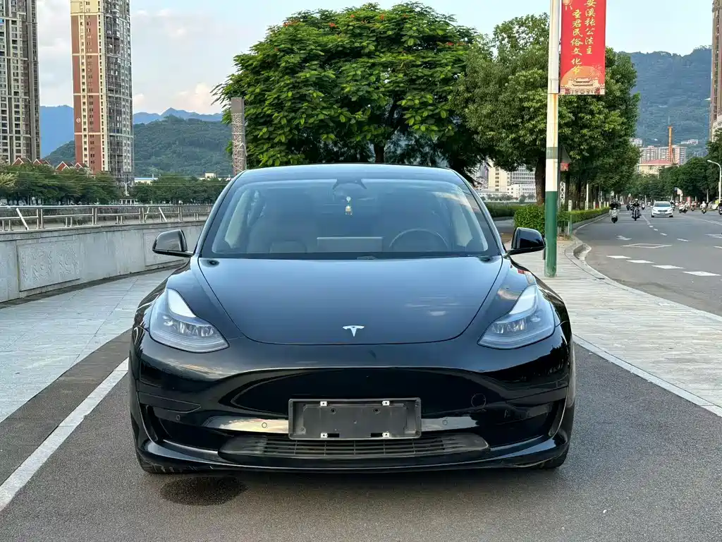Tesla Model 3 — миниатюра 2