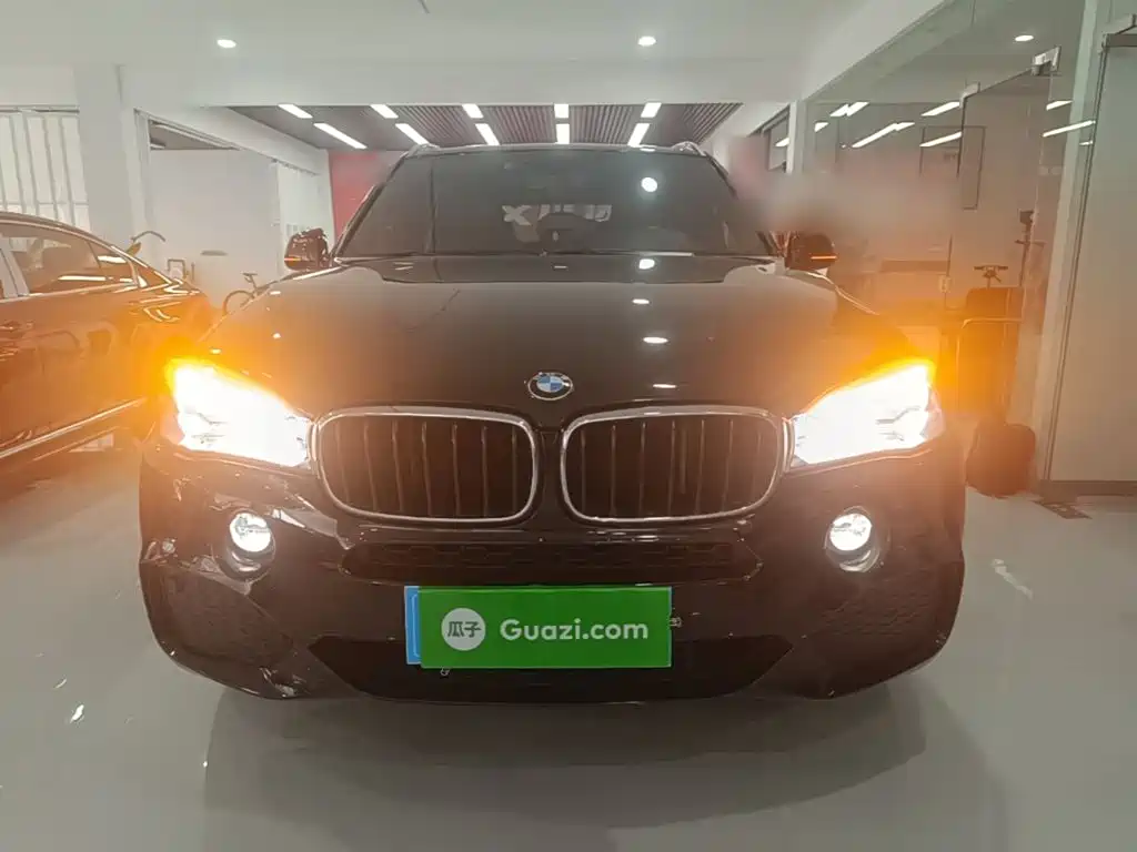 BMW X5 (Import) — миниатюра 3