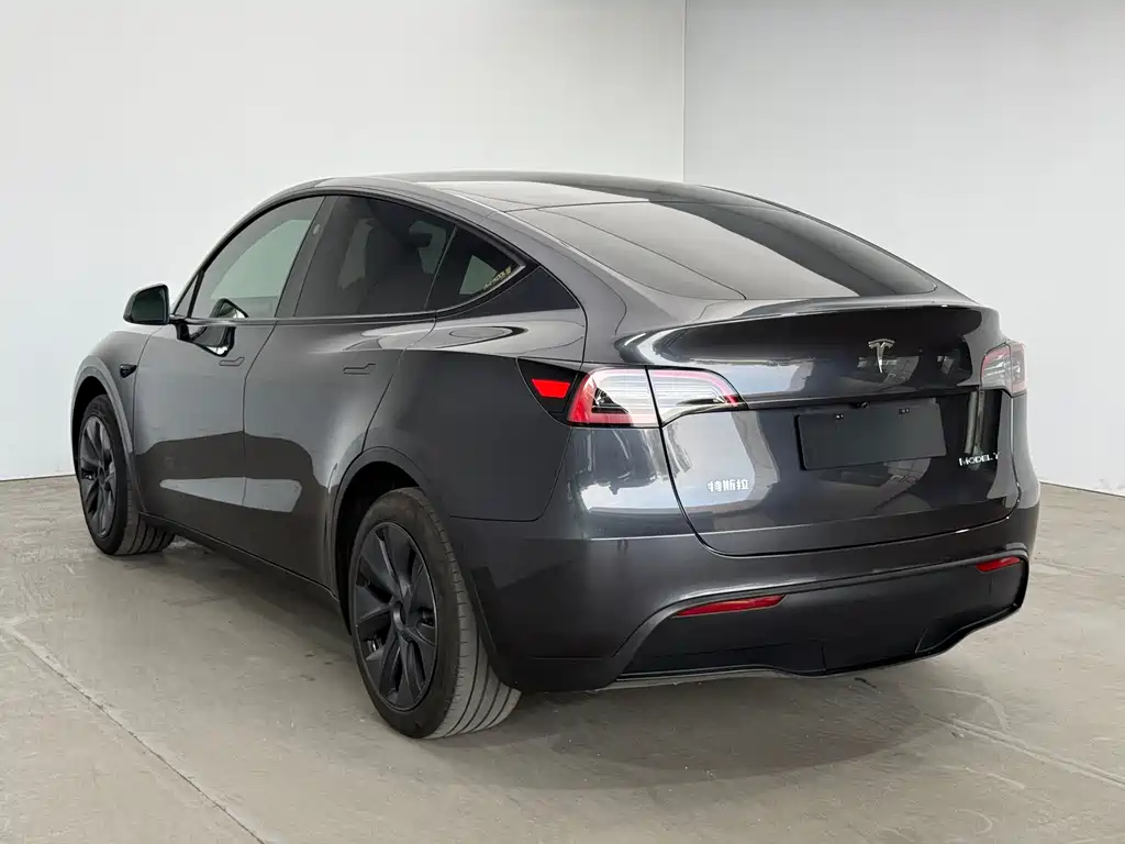 Tesla Model Y — миниатюра 5