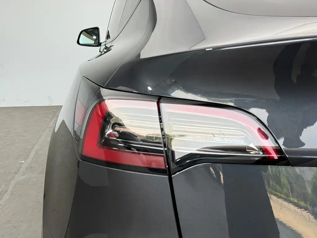 Tesla Model Y — миниатюра 13