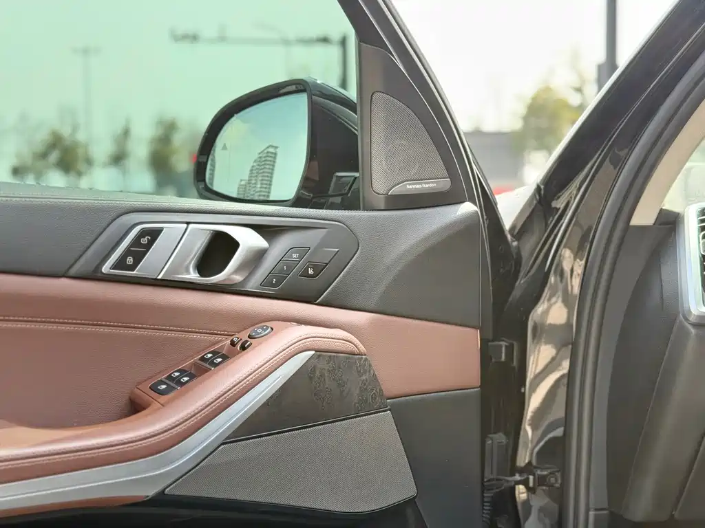 BMW X5 (Import) — миниатюра 8