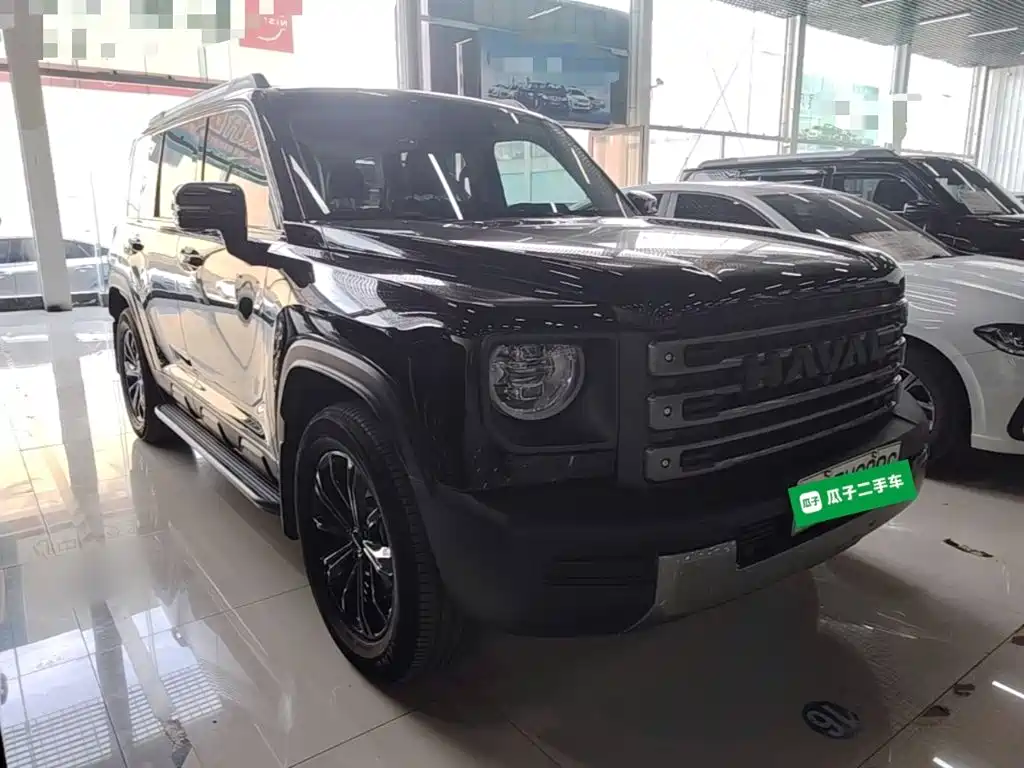 Haval Menglong New Energy — миниатюра 4