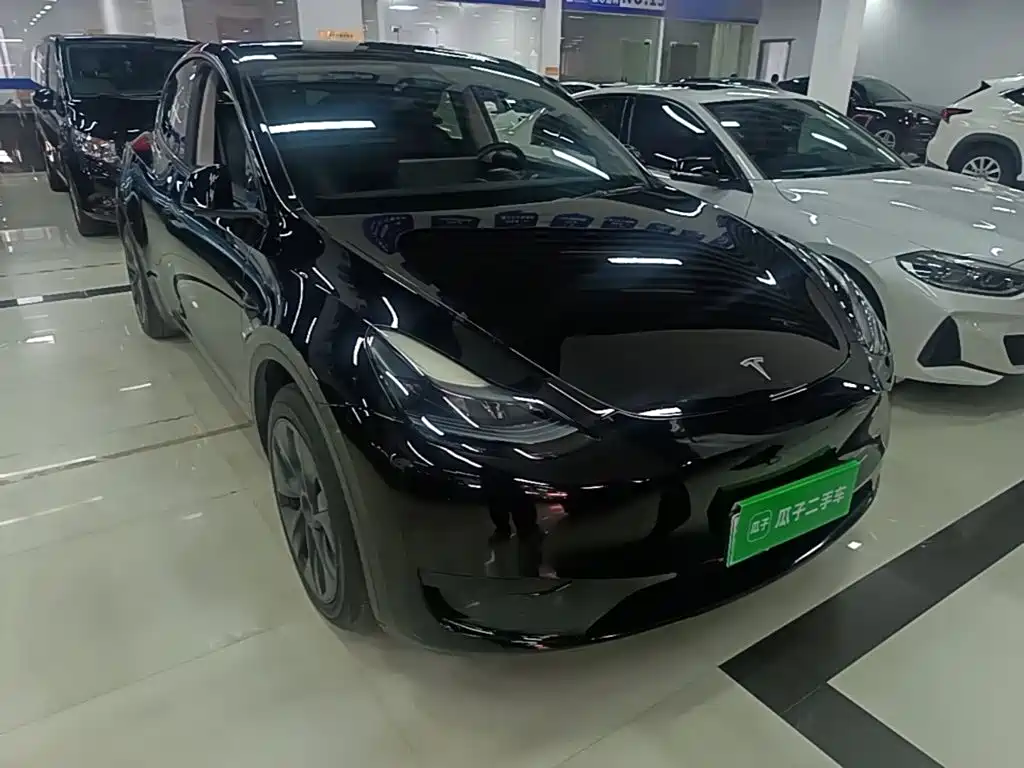Tesla Model Y — миниатюра 4