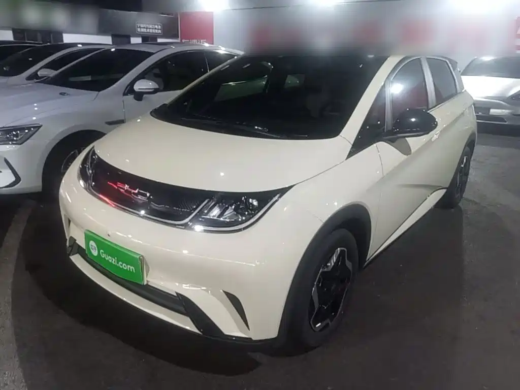 BYD Dolphin — миниатюра 2