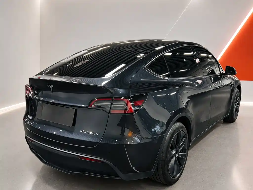 Tesla Model Y — миниатюра 4