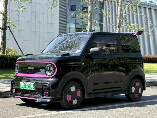 2024 Geely LC (Panda)