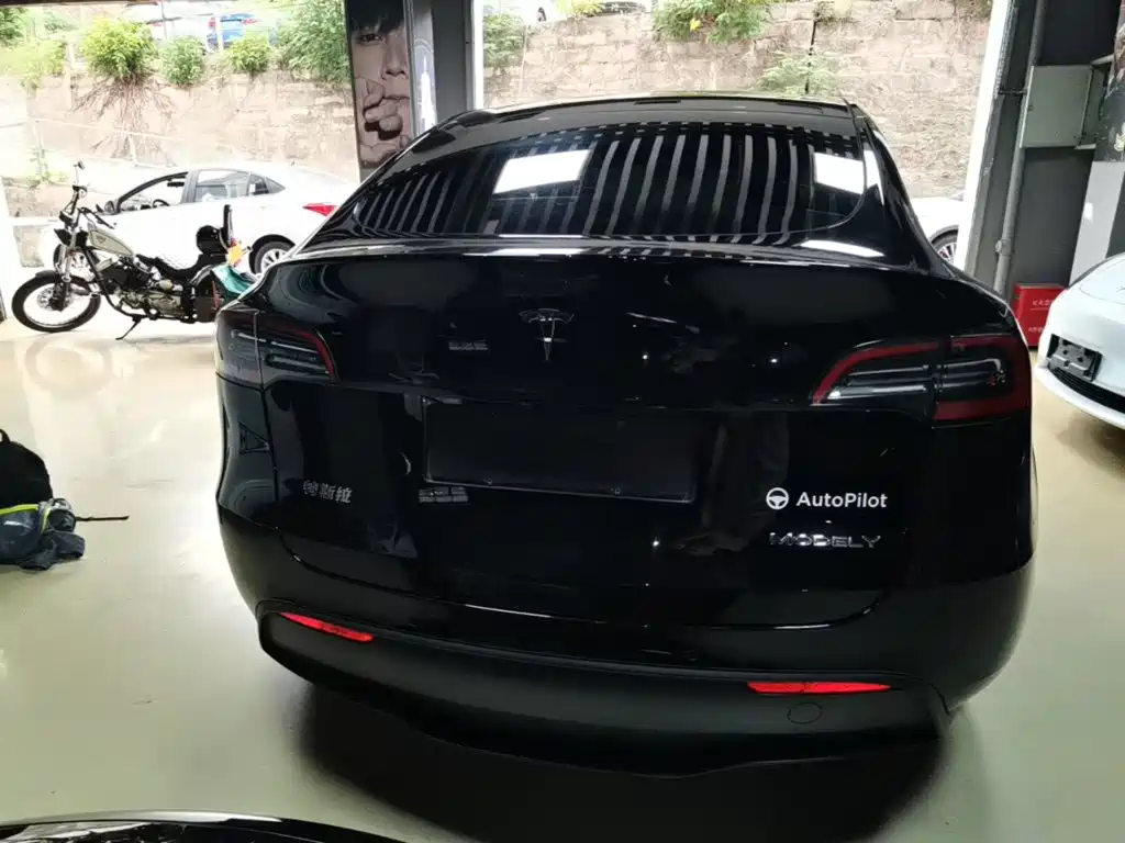 Tesla Model Y — миниатюра 6