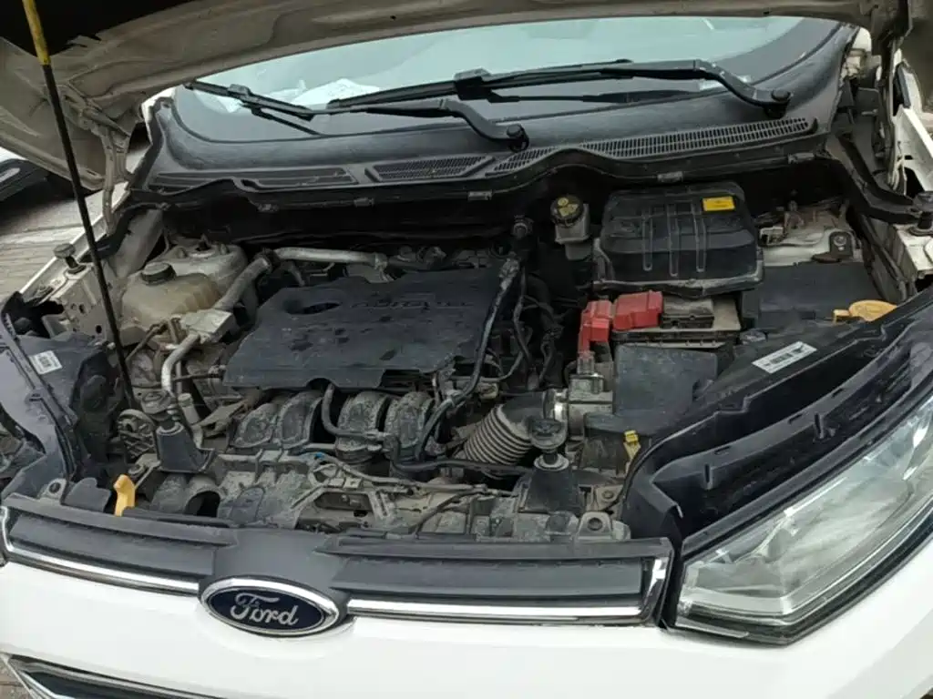 Ford Ecosport — миниатюра 20