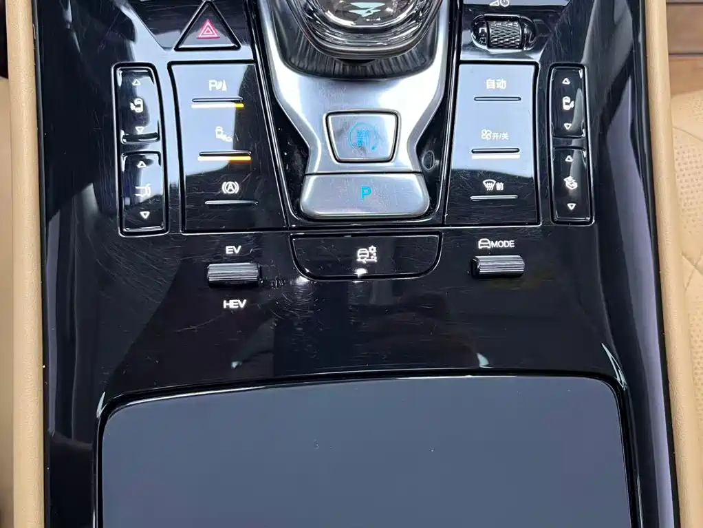Denza Denza D9 — миниатюра 8