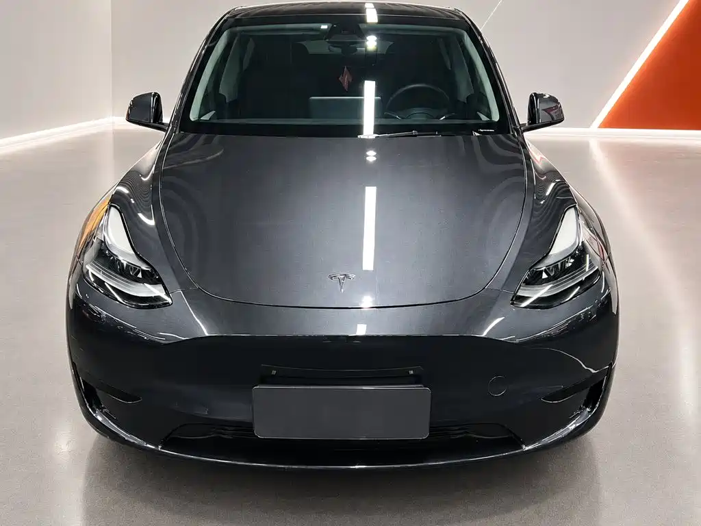 Tesla Model Y — миниатюра 2